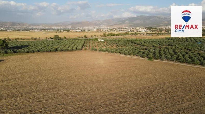 Granada - Alhendín - 25124m2