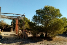 Foto 8