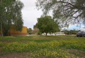 Foto 11