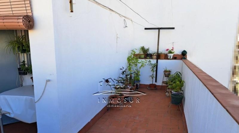 Córdoba - Lucena - 213m2