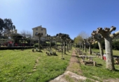 Rural estate for sale on España, Avilés, ref: TR281951 photo