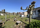 Rural estate for sale on España, Avilés, ref: TR281951 photo