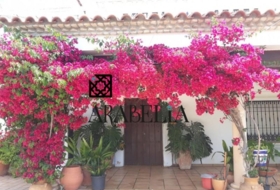 Alcolea 300&nbsp;m²