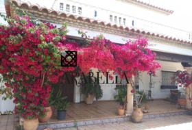 Alcolea 300&nbsp;m²