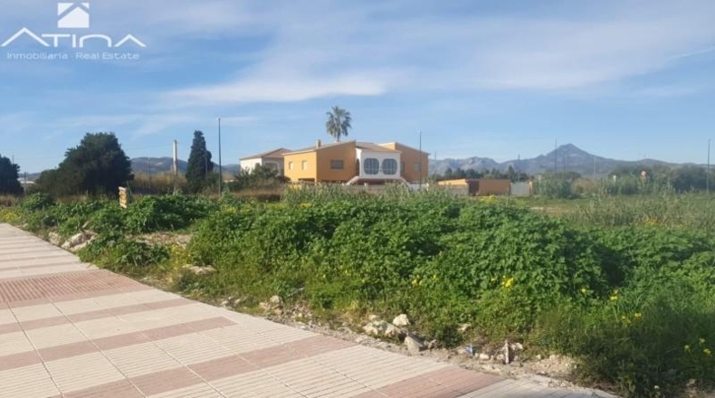 Valencia - Daimús - 749m2
