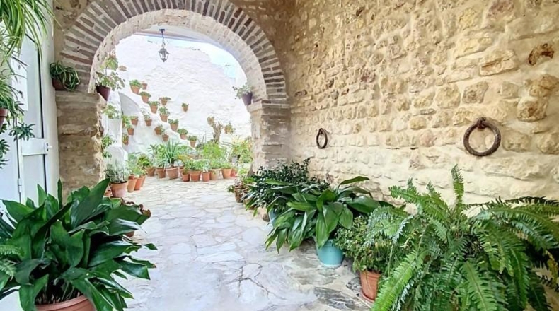 Cádiz - Medina Sidonia - 254m2