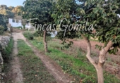House with land for sale on España, Alaior, ref: TR346963 photo