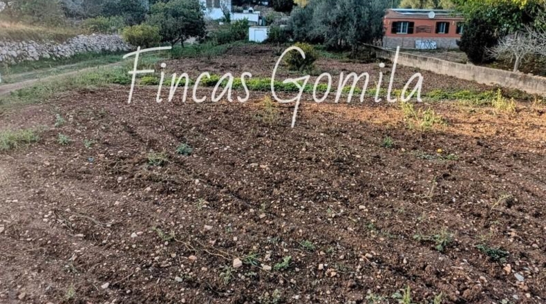 Islas Baleares - Alayor - 2450m2