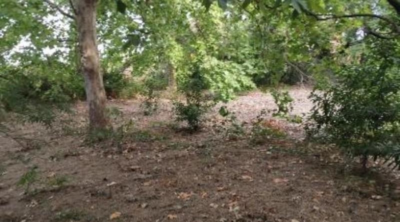 Sevilla - Umbrete - 14600m2