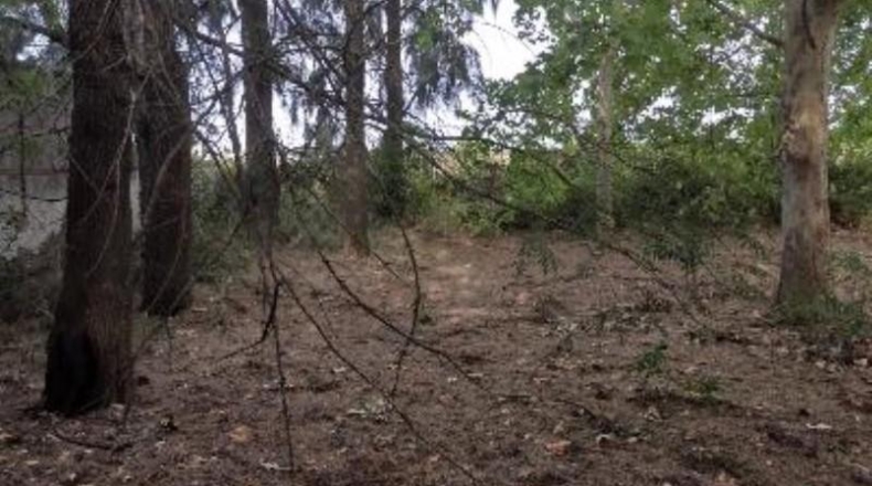 Sevilla - Umbrete - 14600m2