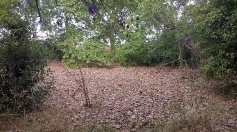 Sevilla - Umbrete - 14600m2