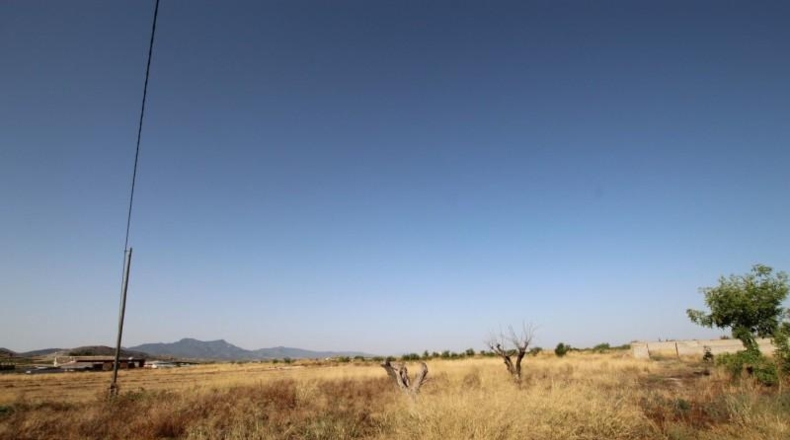 Murcia - Jumilla - 40000m2