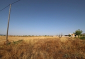 Country house with land for sale on España, Jumilla, ref: TR333941 photo