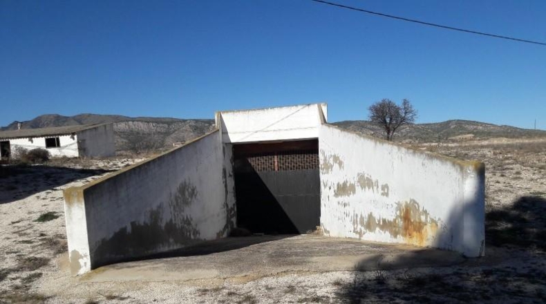 Murcia - Jumilla - 40000m2