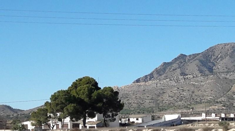Murcia - Jumilla - 40000m2