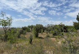 Murcia 3400&nbsp;m²