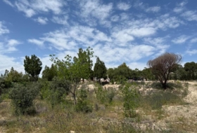 Murcia 3400&nbsp;m²