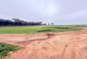 Foto 8
