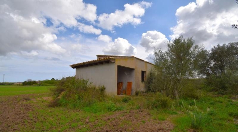 Балеарские острова - Muro - 17000m2