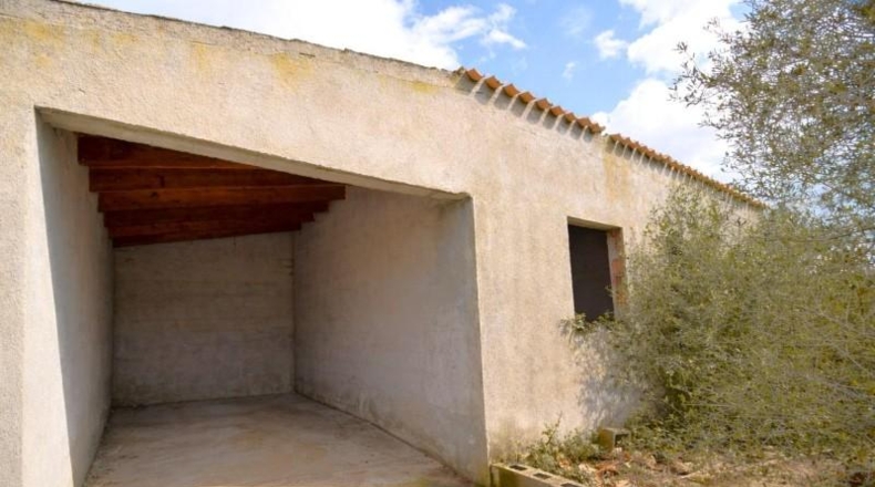 Балеарские острова - Muro - 17000m2