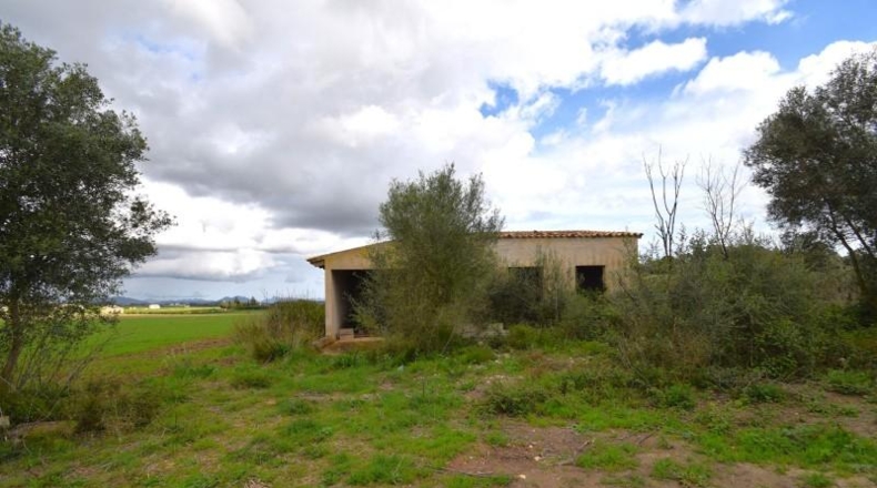 Балеарские острова - Muro - 17000m2