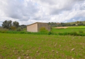 Terreno no urbanizable en venta en la España, Muro, ref: TR392775 foto