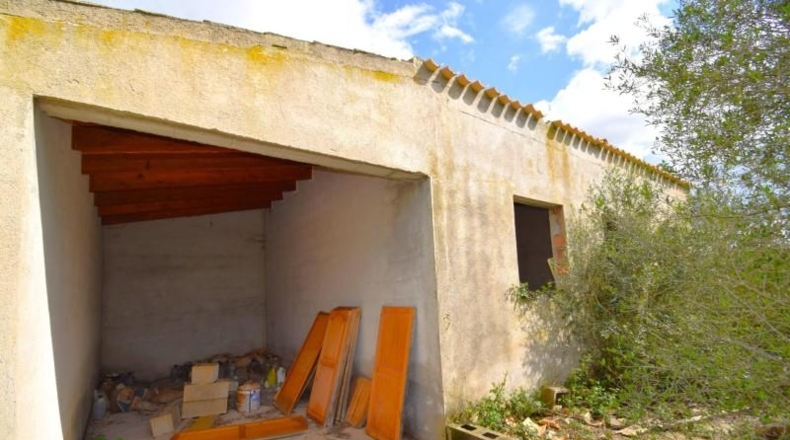 Балеарские острова - Muro - 17000m2
