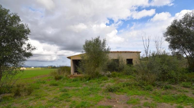 Балеарские острова - Muro - 17000m2