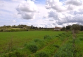 Terreno no urbanizable en venta en la España, Muro, ref: TR392775 foto