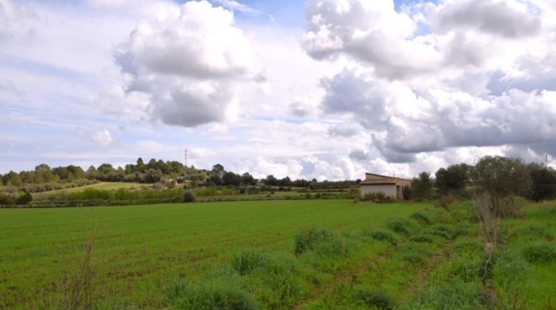 Балеарские острова - Muro - 17000m2