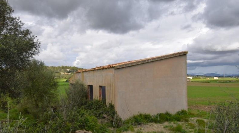 Балеарские острова - Muro - 17000m2