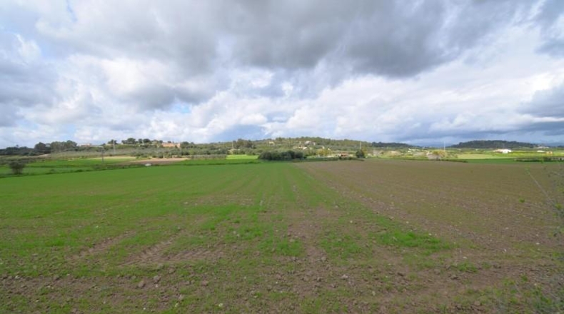 Балеарские острова - Muro - 17000m2