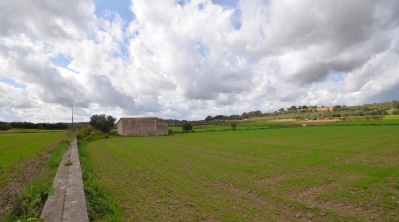 Балеарские острова - Muro - 17000m2