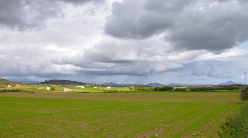 Балеарские острова - Muro - 17000m2