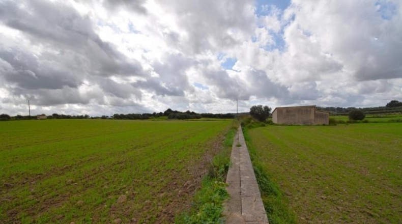 Балеарские острова - Muro - 17000m2