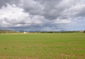 Terreno no urbanizable en venta en la España, Muro, ref: TR392775 foto