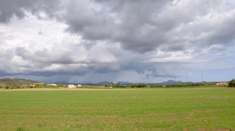 Балеарские острова - Muro - 17000m2