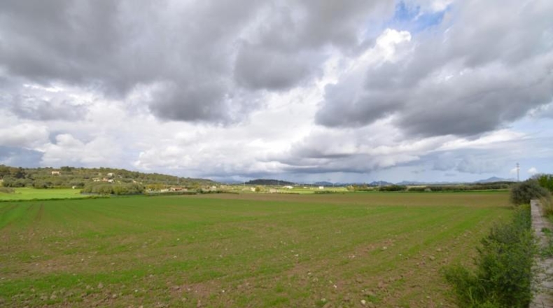 Балеарские острова - Muro - 17000m2