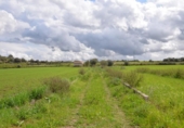 Terreno no urbanizable en venta en la España, Muro, ref: TR392775 foto