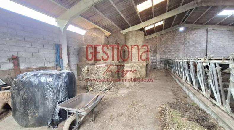 Cantàbria - Santa María de Cayón - 45500m2