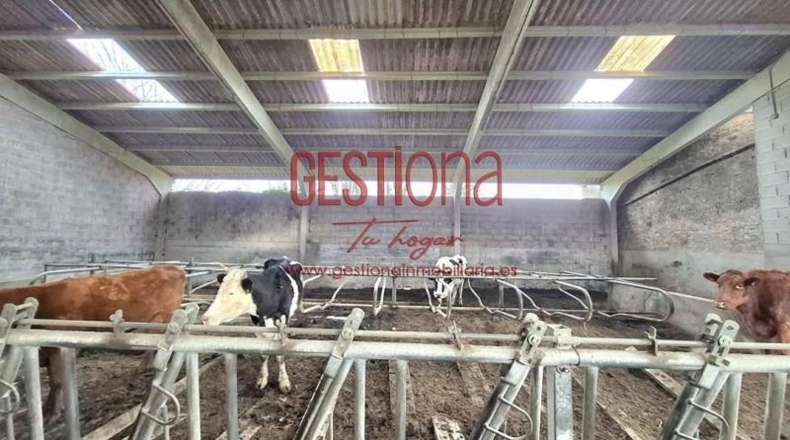 Cantàbria - Santa María de Cayón - 45500m2