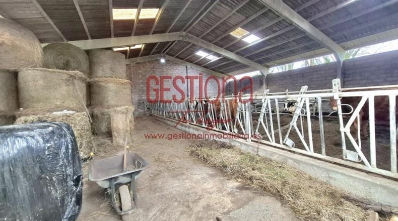 Cantàbria - Santa María de Cayón - 45500m2