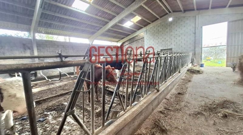 Cantàbria - Santa María de Cayón - 45500m2