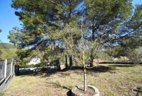 Olivella 1214&nbsp;m²
