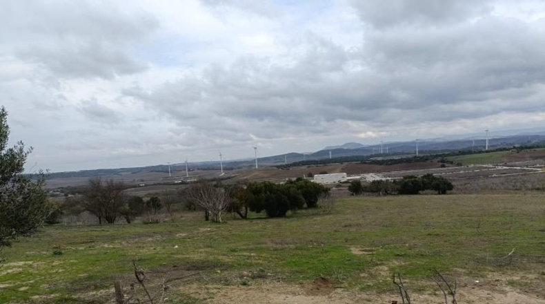 Cádiz - Медина-Сидония - 35000m2