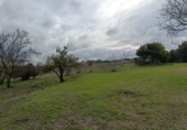 Загородный дом с участком на продажу в городе Medina Sidonia Фото