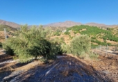 Country house with land for sale on España, Mijas, ref: TR345395 photo