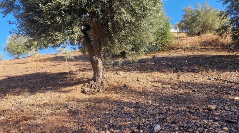 Málaga - Mijas - 7640m2