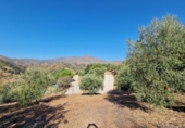 Country house with land for sale on España, Mijas, ref: TR345395 photo