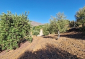 Country house with land for sale on España, Mijas, ref: TR345395 photo